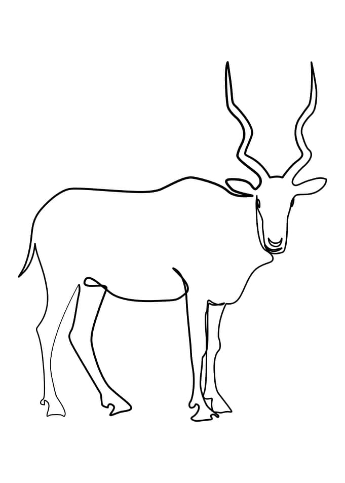 Animal One Line Art