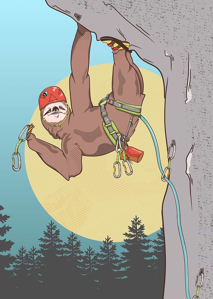 CUTE SLOTH ROCK CLIMBER