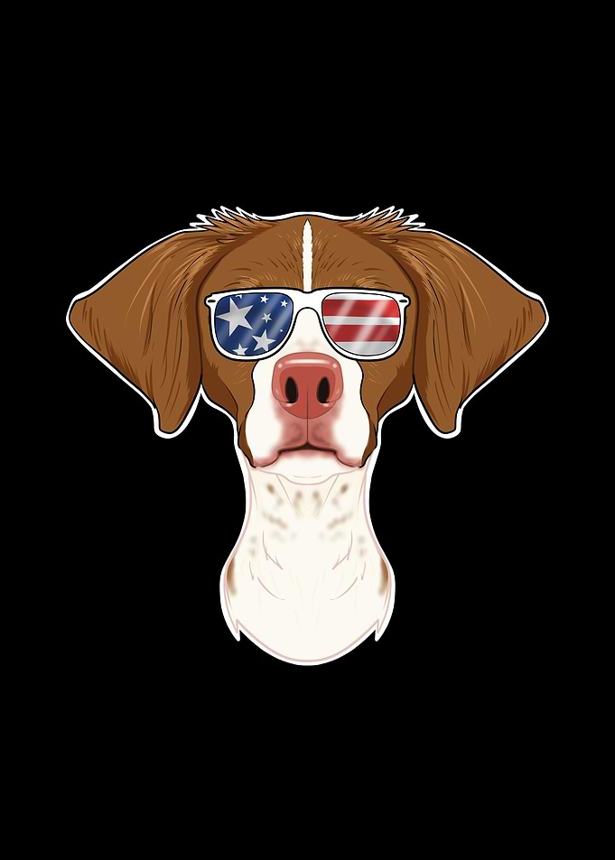 Brittany USA Sunglasses