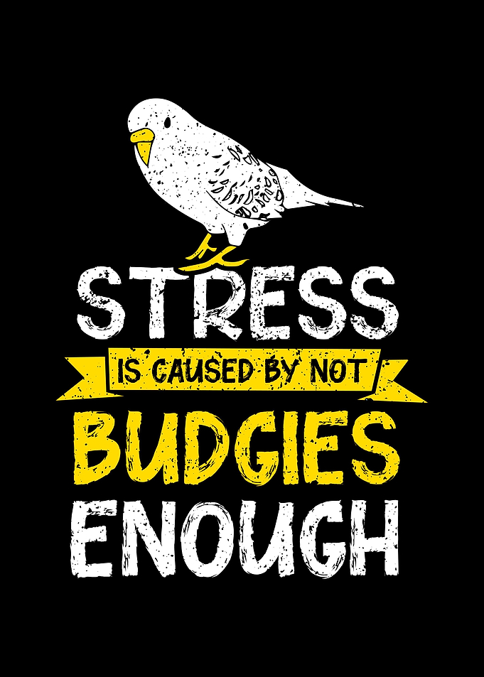Budgie Budgeriga