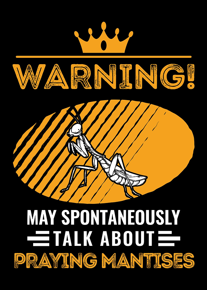 Praying Mantis