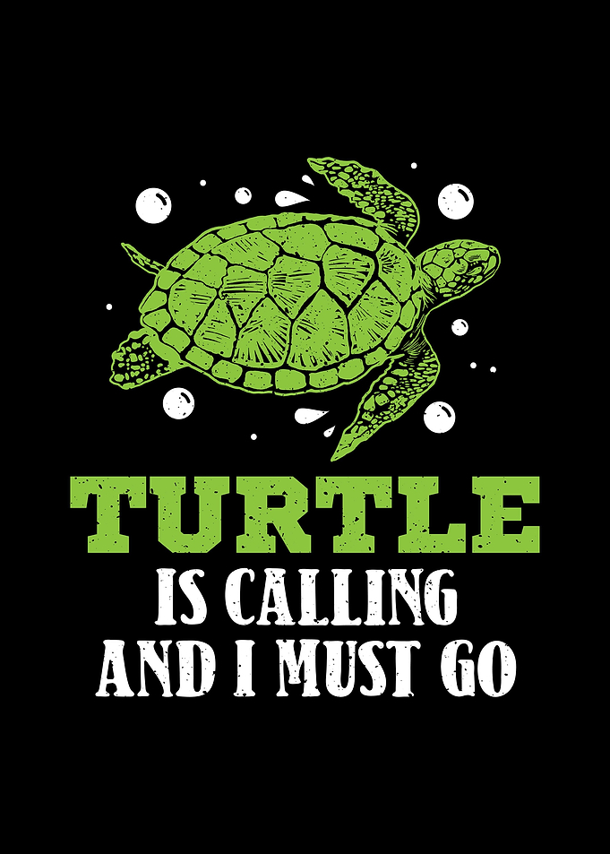 Sea Turtle