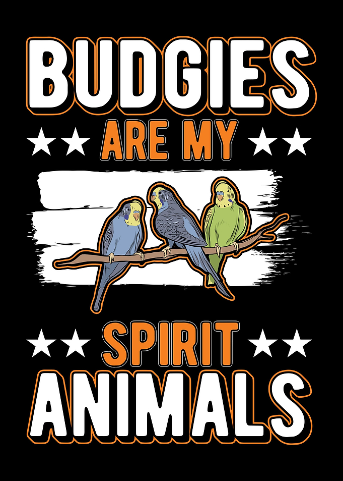 Budgie Gift Parakeet