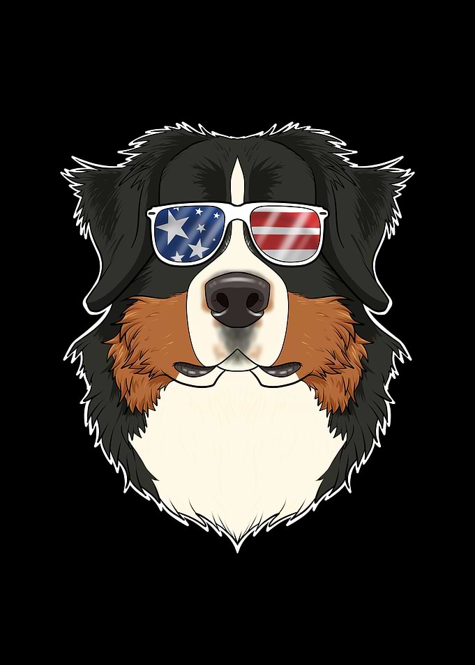 Bernese Mountain Dog USA