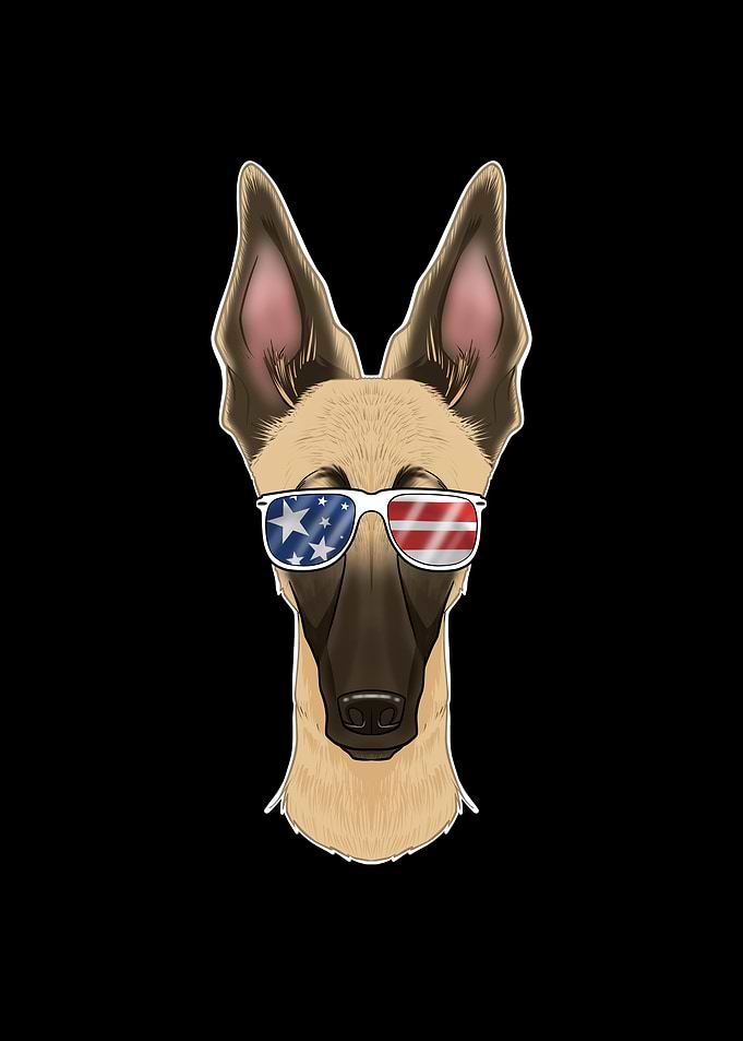 Malinois USA Sunglasses
