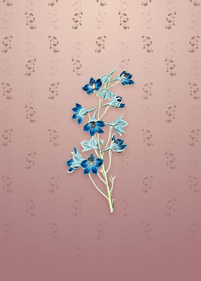 Shewy Delphinium Flower