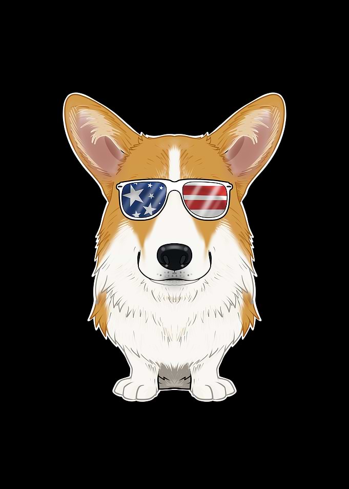 Welsh Corgi USA Sunglasses