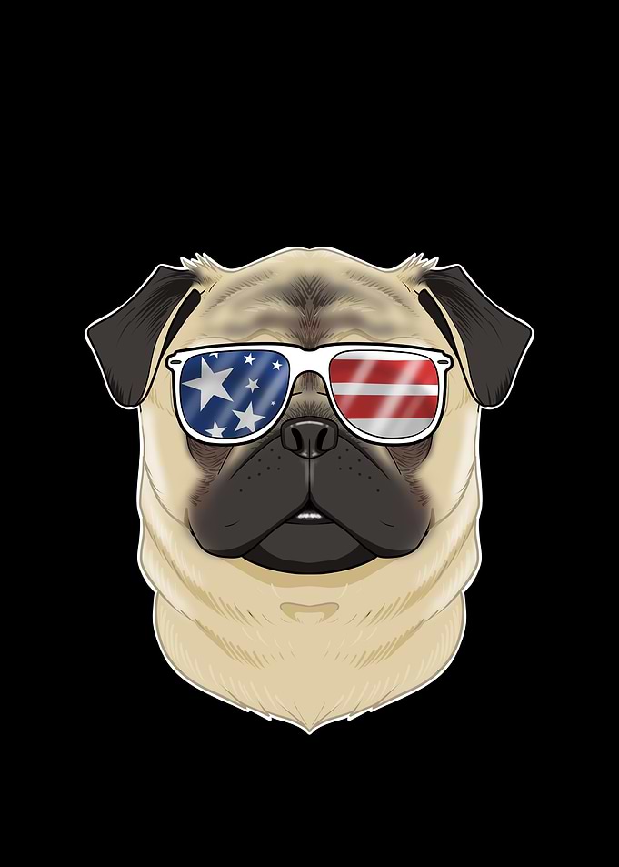 Pug USA Sunglasses