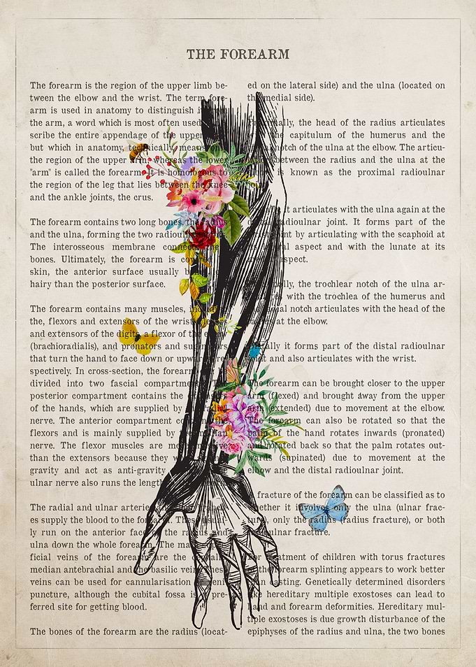 Forearm Flower Anatomy