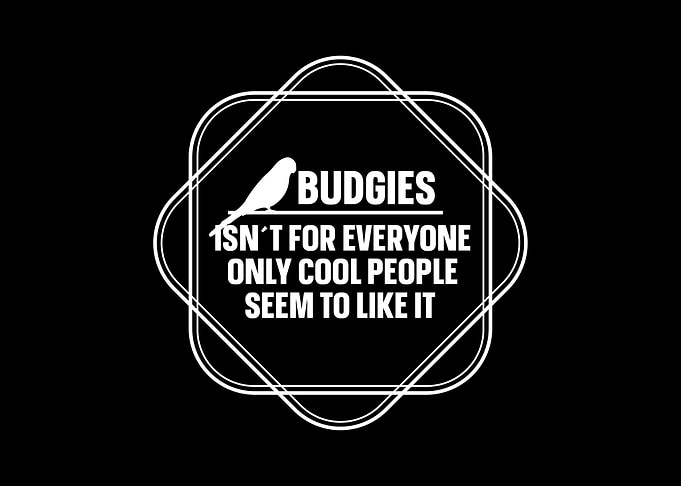 Budgie Budgeriga