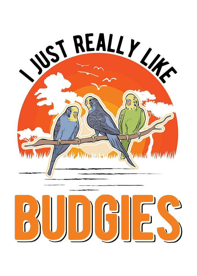 Budgie Gift Parakeet