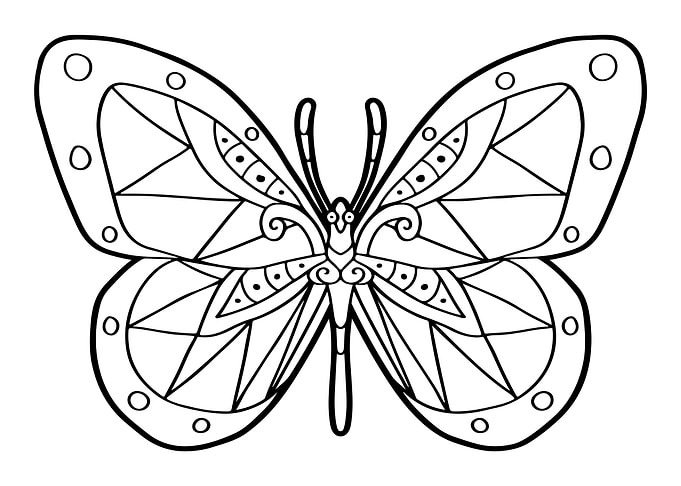 Aztec Butterfly Mayan Inca