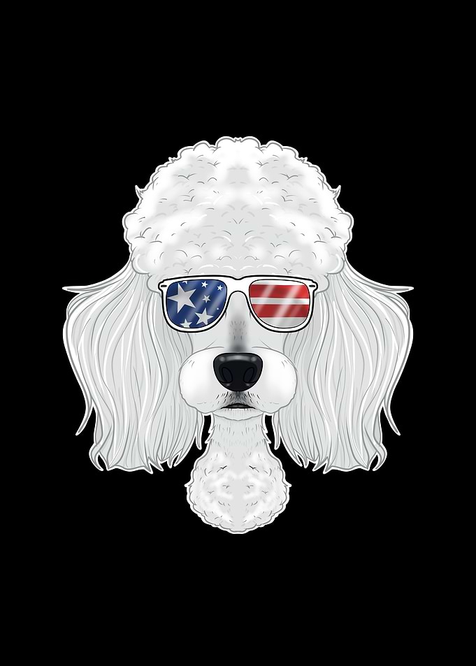 Poodle USA Sunglasses