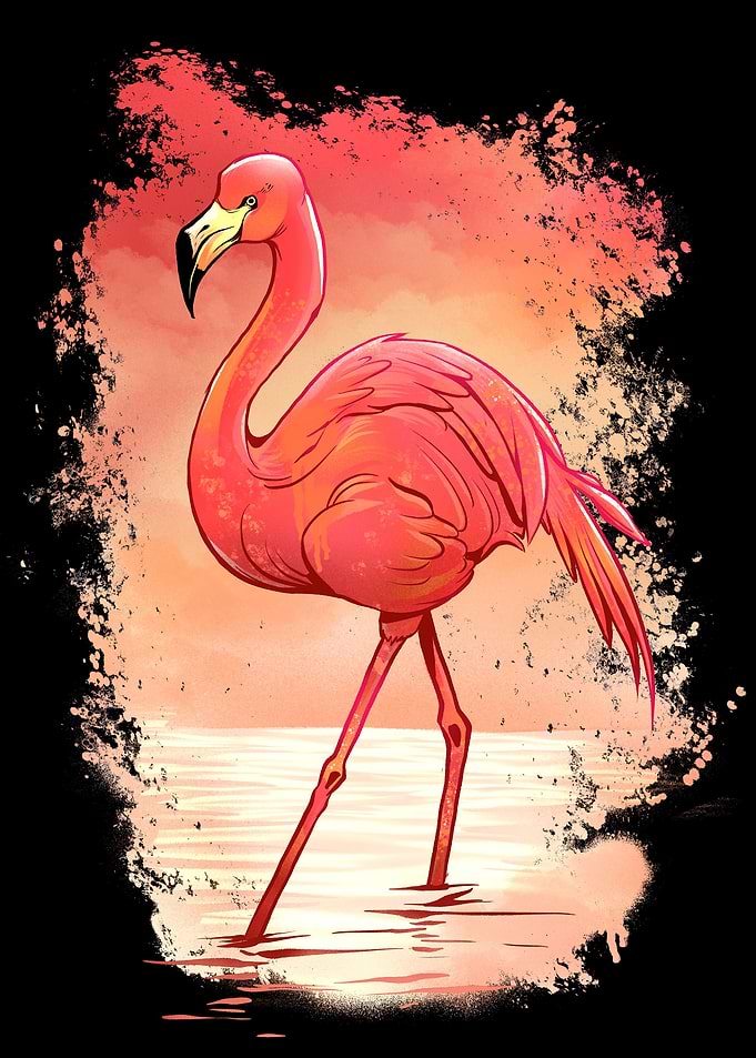 Flamingo Bird in Water
