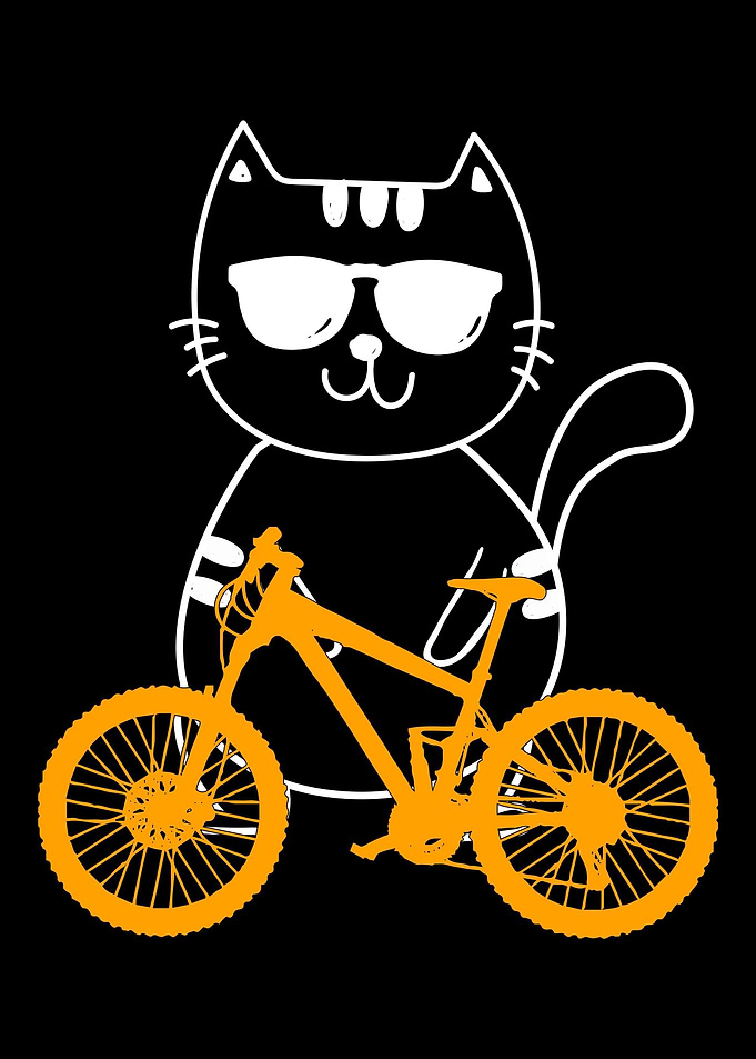 Mountain Bike MTB