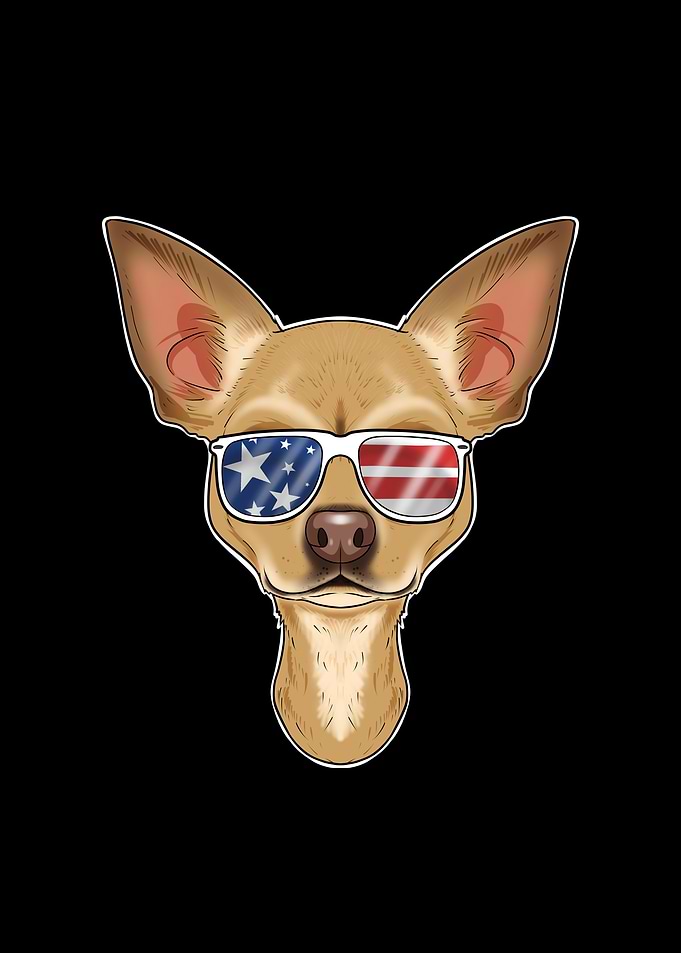 Chihuahua USA Sunglasses
