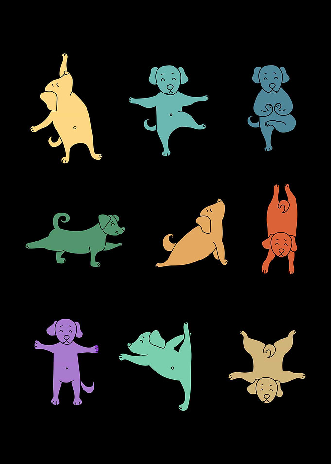 Yoga Dog Relaxing Dogs