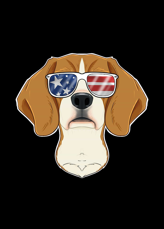 Beagle USA Sunglasses