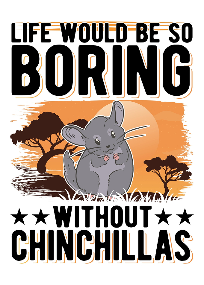 Chinchilla Lover