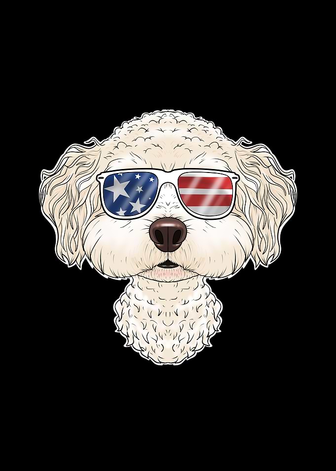 Bichon Frise USA