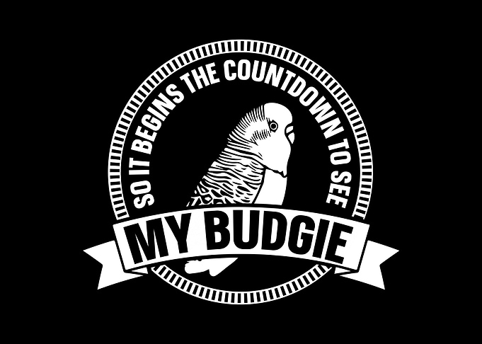 Budgie Budgeriga
