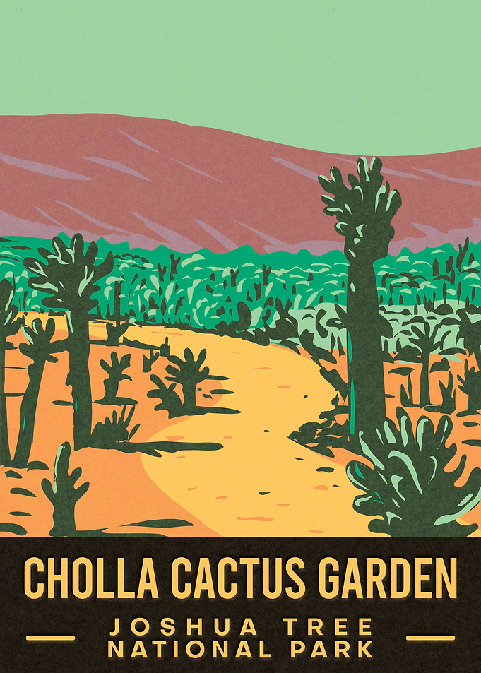 Cholla Cactus Garden
