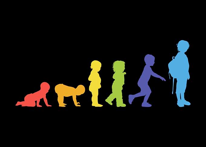 Evolution Kindergarten