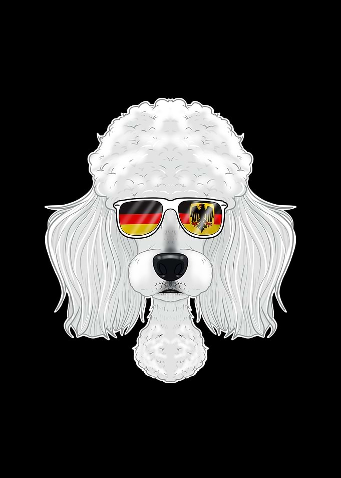 Poodle Germany Sunglasses