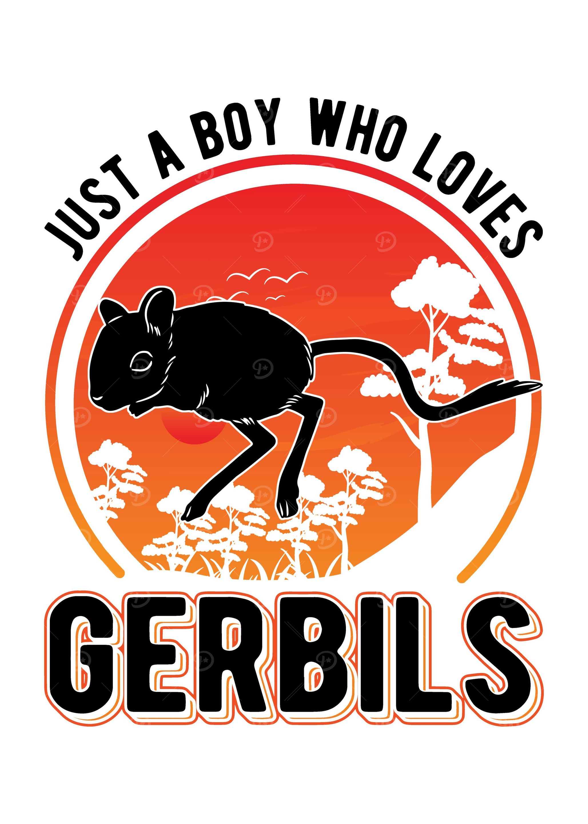 Gerbil Racing rat