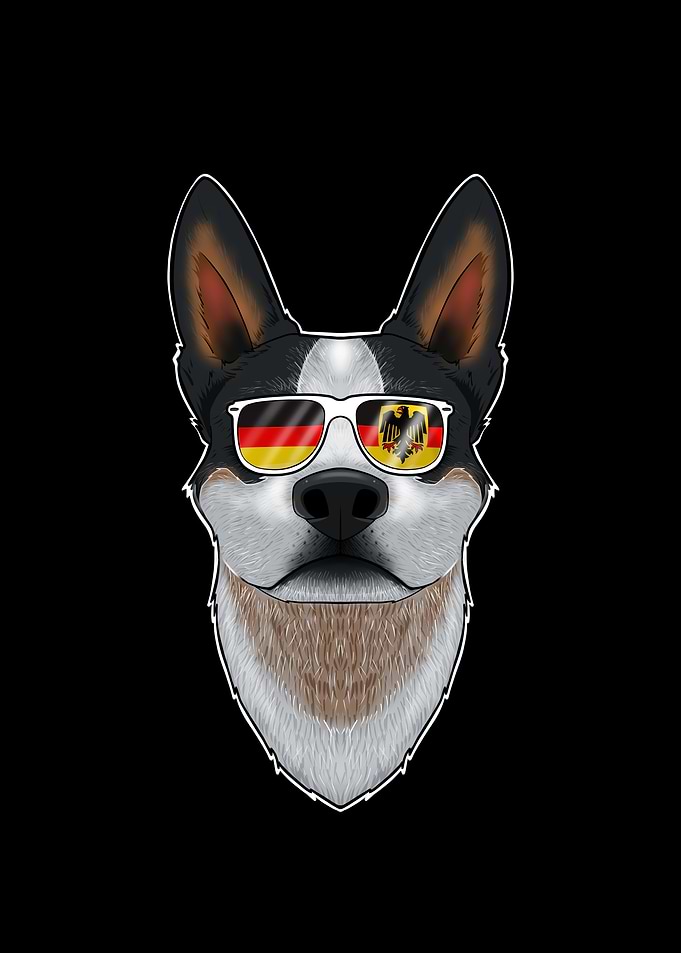 Australian Cattle Dog