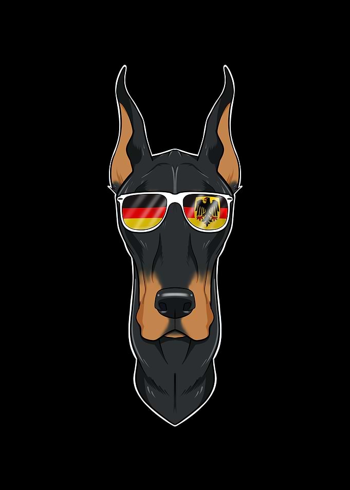 Doberman Germany