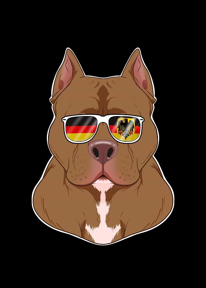 Pitbull Germany Sunglasses