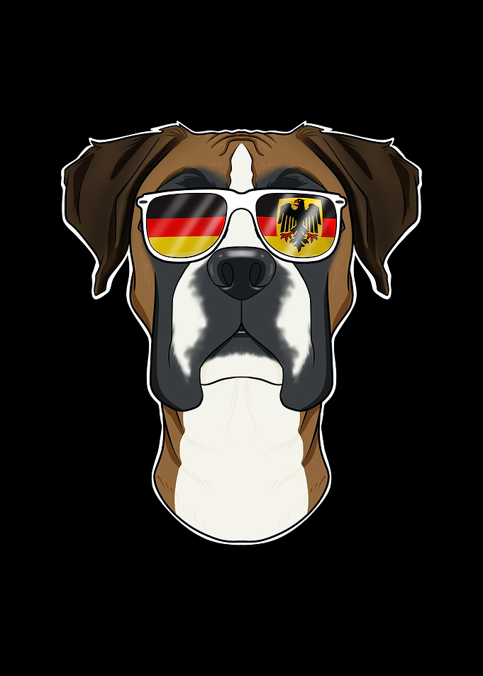 Boxer Germany Sunglasses
