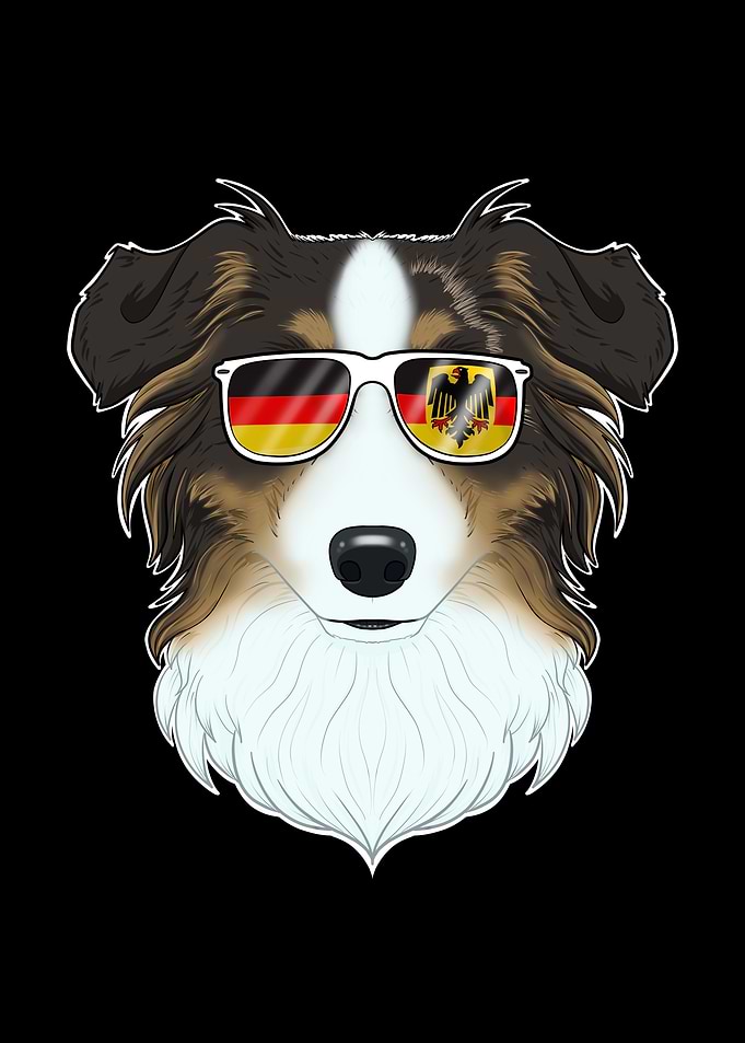 Australian Shepherd