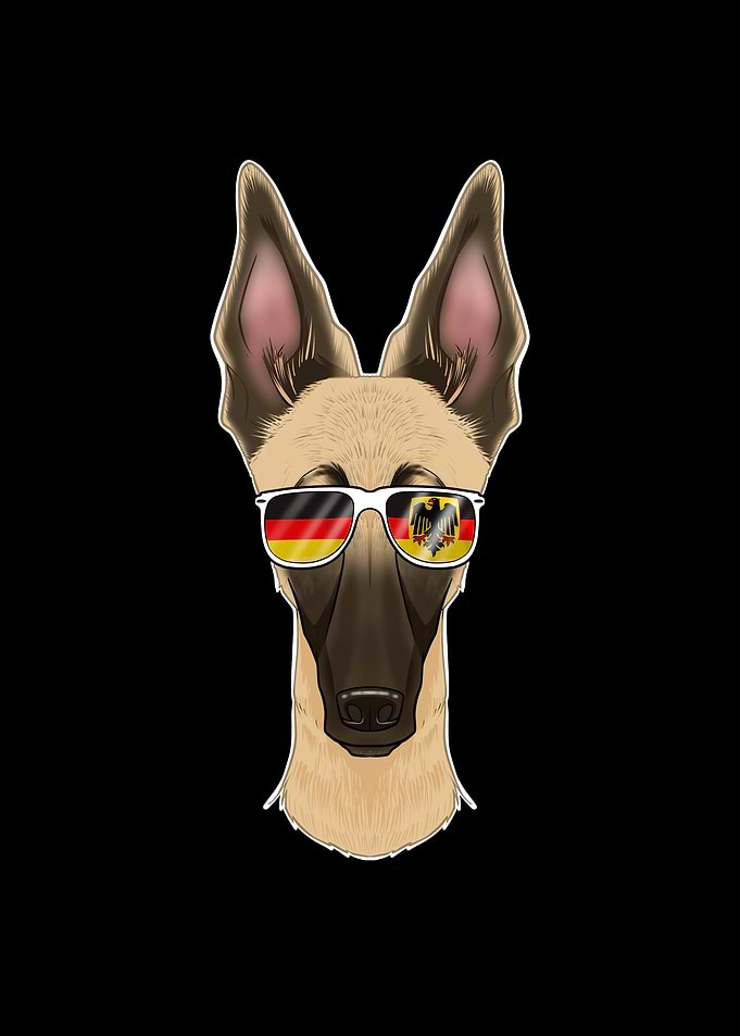 Malinois Germany