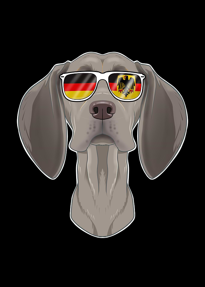Weimaraner Germany