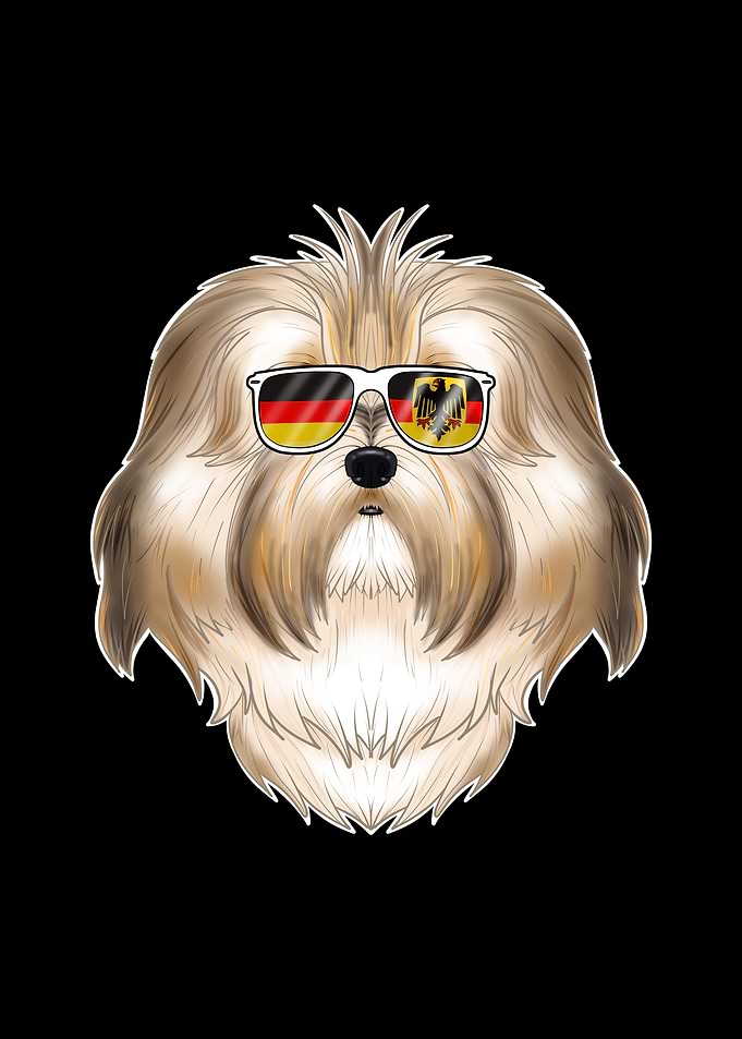 Havanese Germany