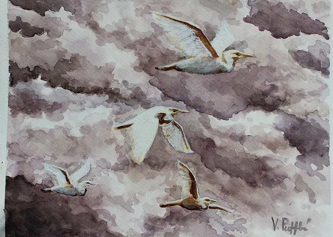 Flight