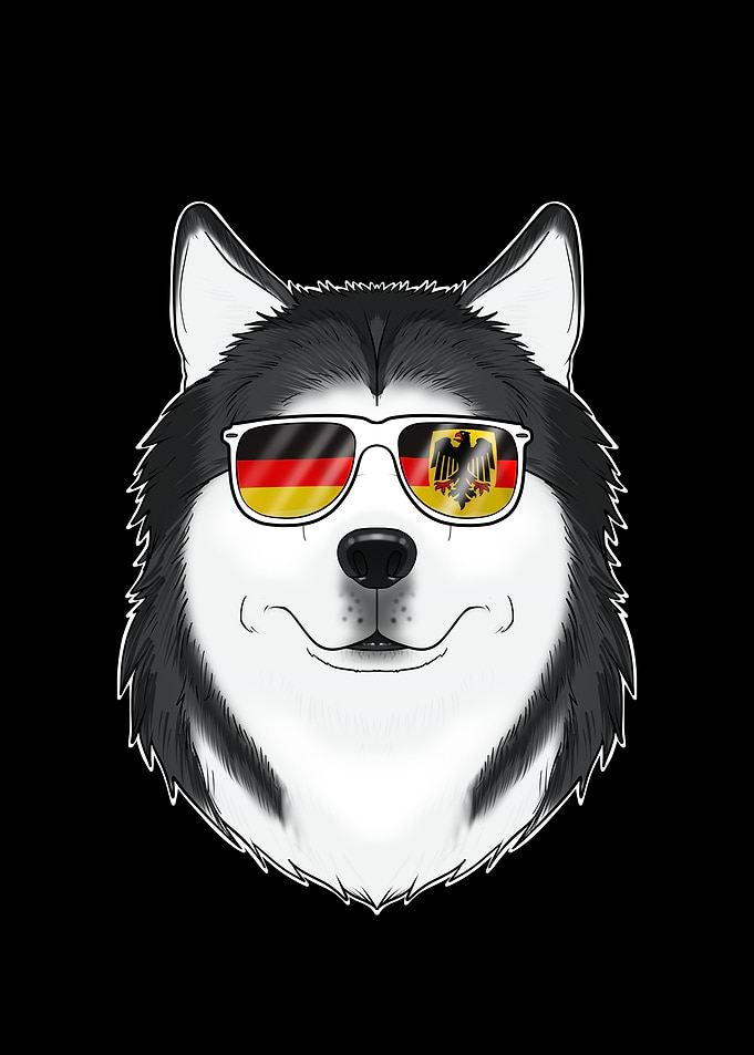 Husky Germany Sunglasses