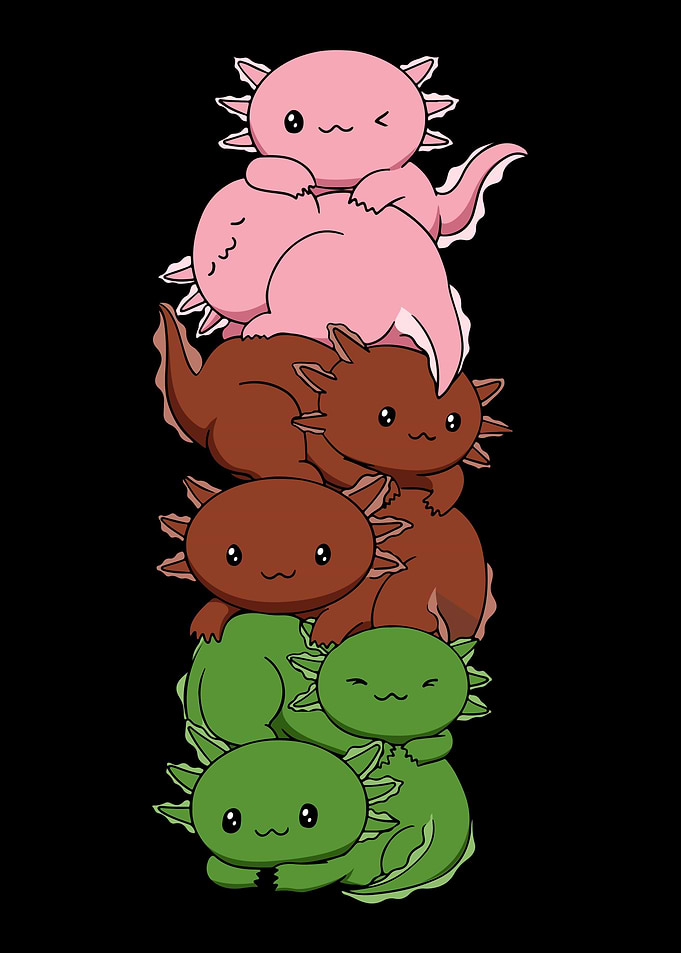 Gynesexual Flag Axolotl