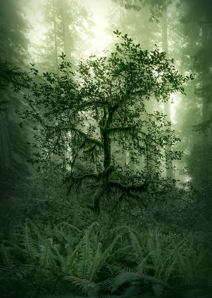 Green Damnation