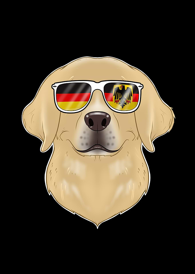 Labrador Germany