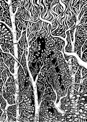 Overgrowth
