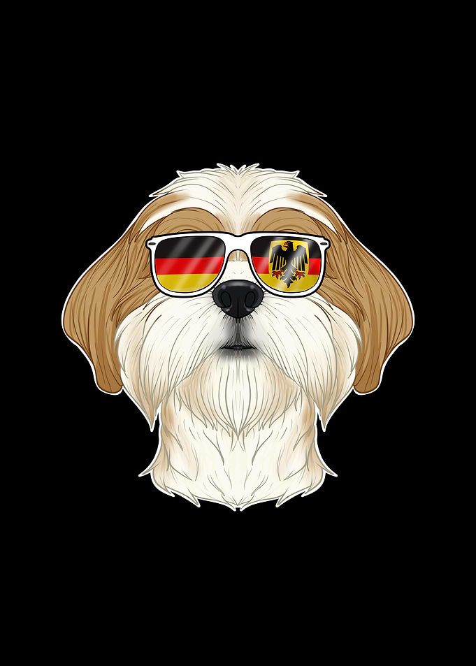 Shih Tzu Germany