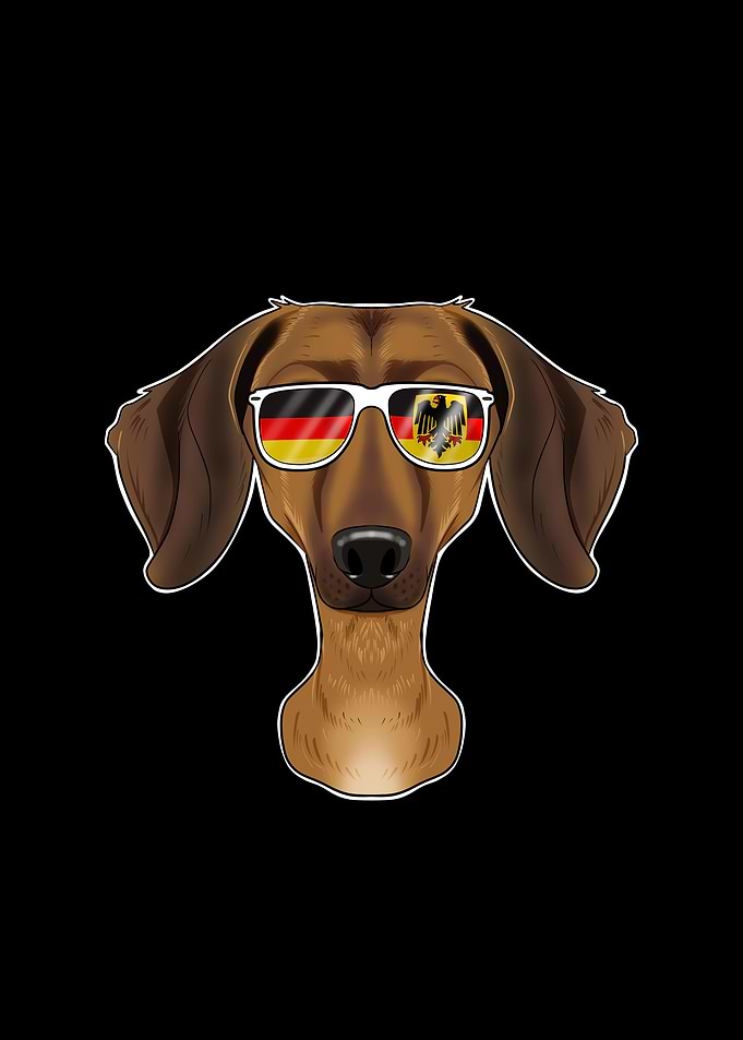 Dachshund Germany