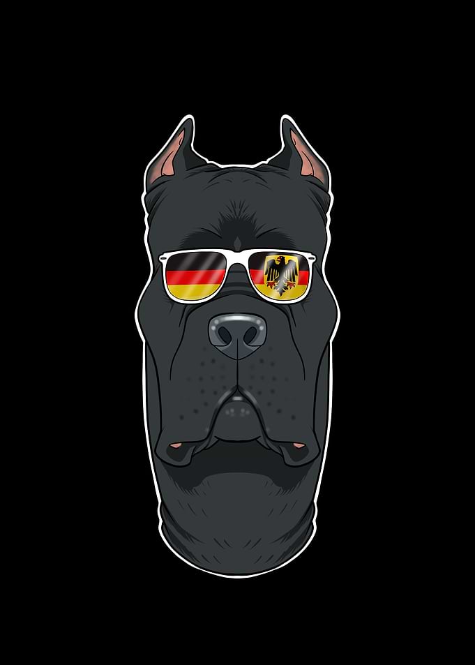 Cane Corso Germany