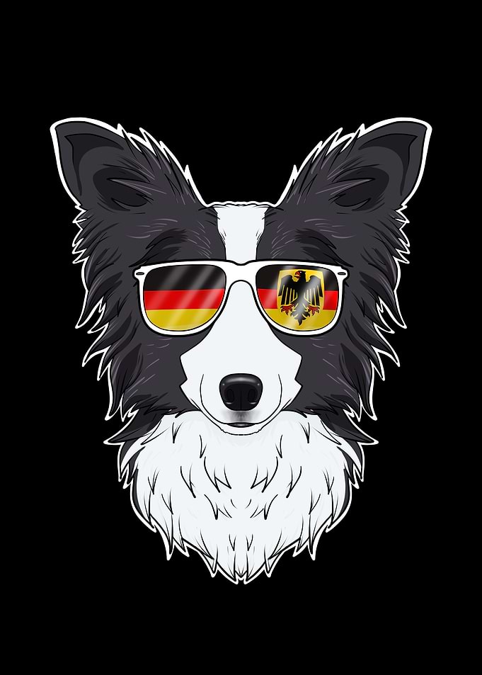 Border Collie Germany