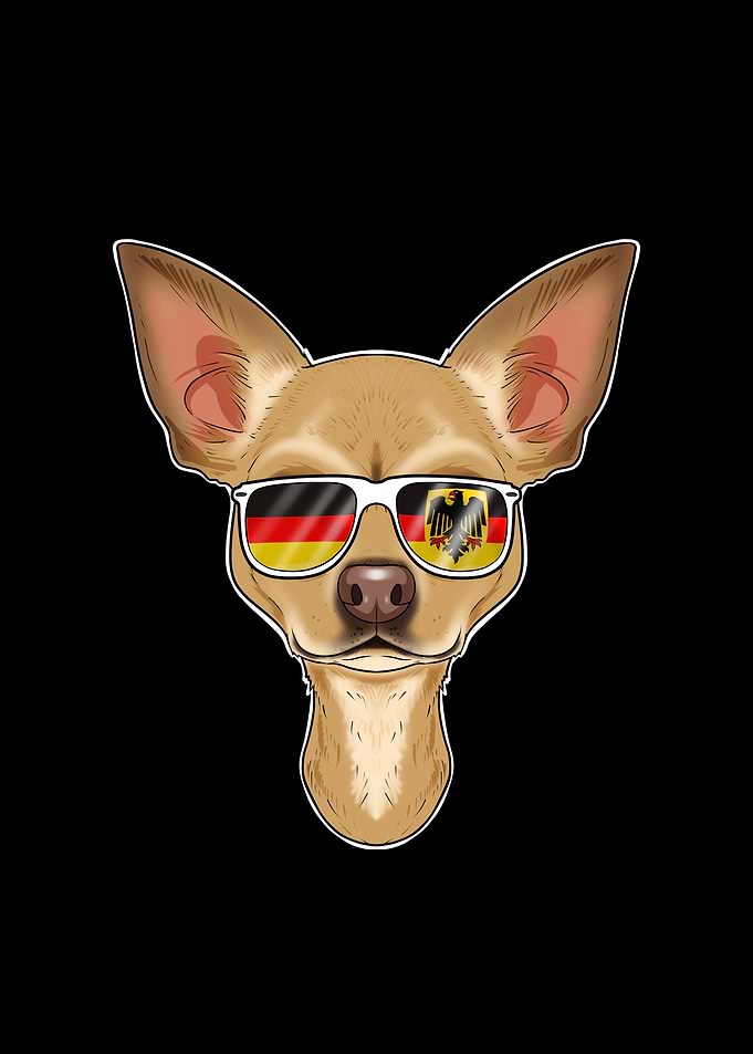 Chihuahua Germany