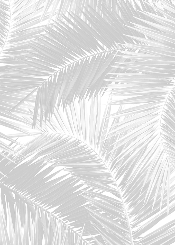 Palm Jungle Pattern 4 tr