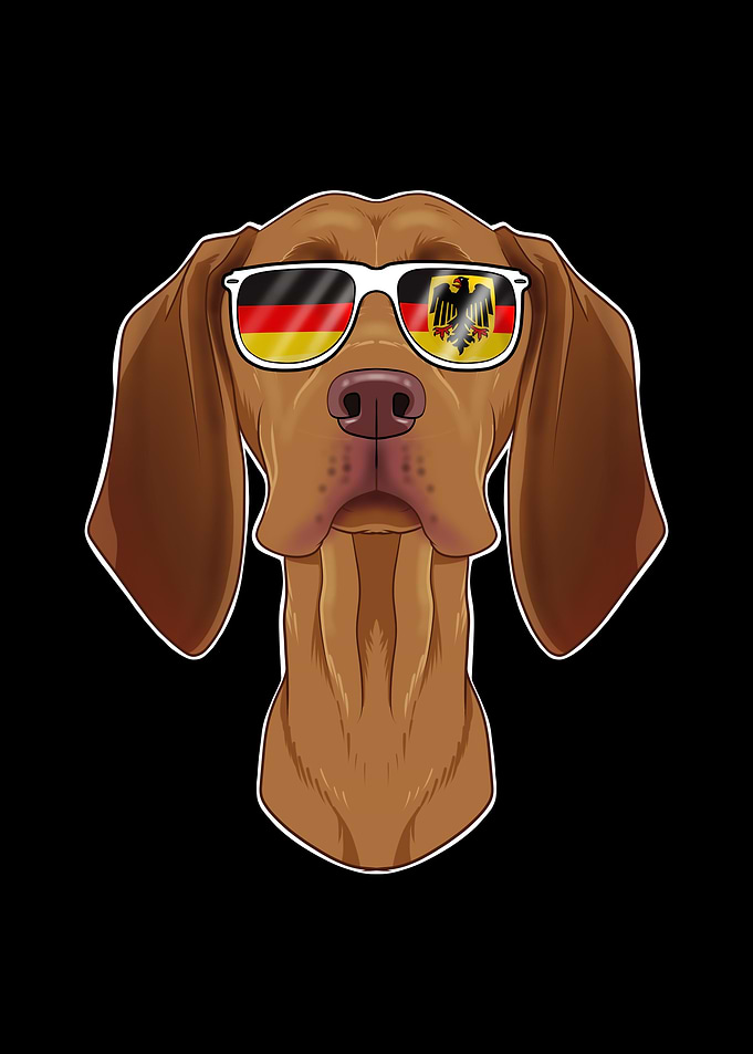 Vizsla Germany Sunglasses